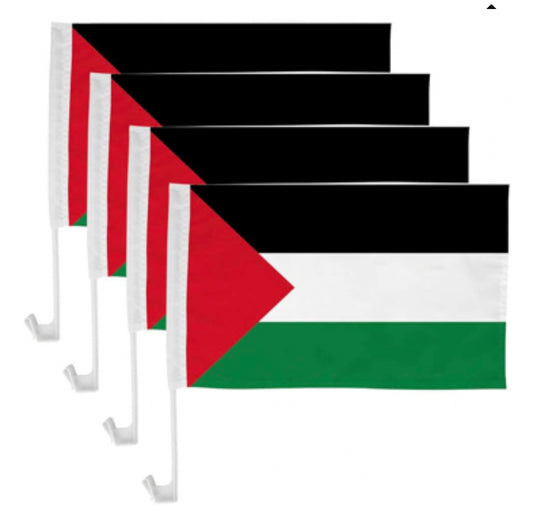 Palestine car flag