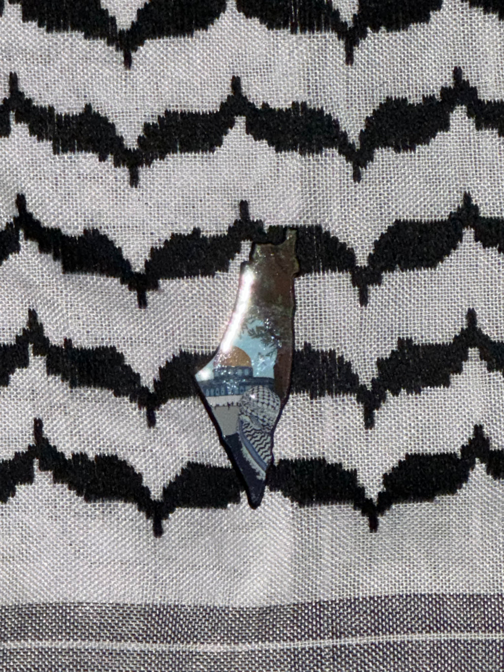 Épingle de carte de Palestine