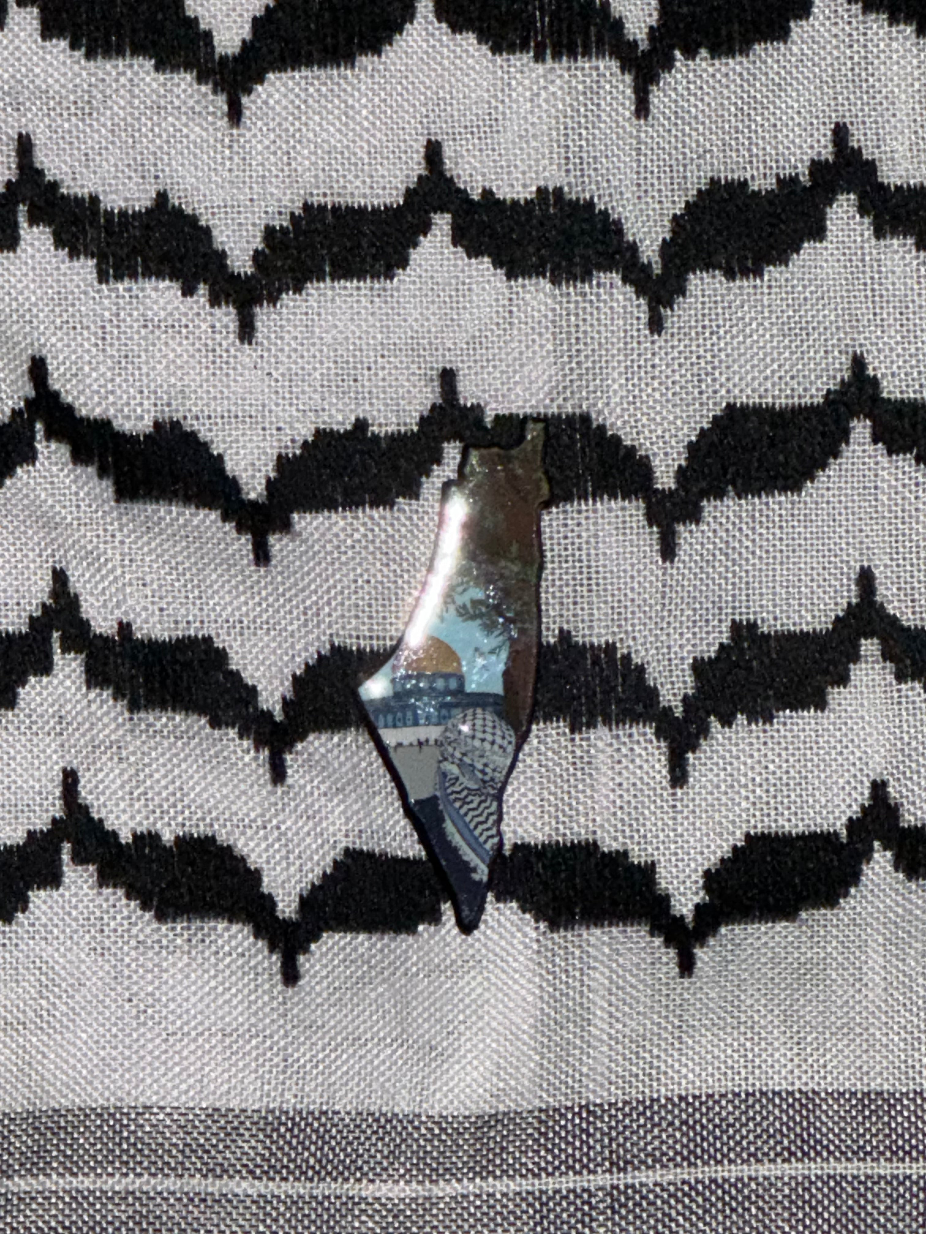 Épingle de carte de Palestine