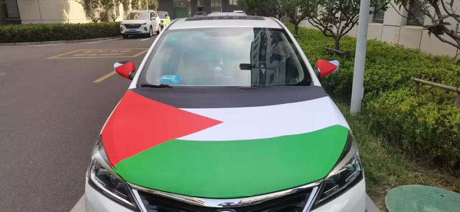 Palestine car hood flag